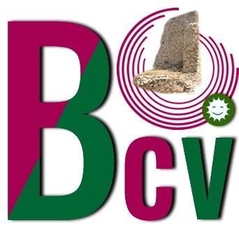 Logo BV - C