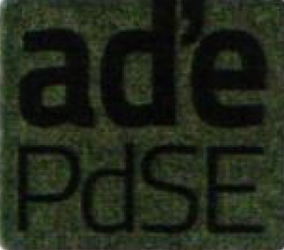 Logo Agrupació d'electors (ad'ePdSE)