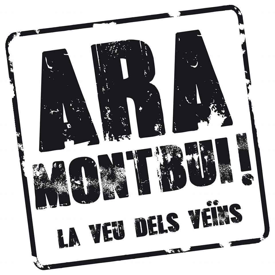 Logo AM-LVDVDM