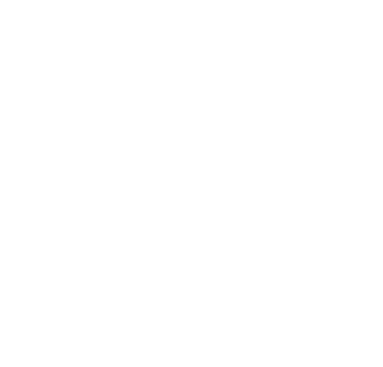 Logo Partit Popular de Catalunya (PP)