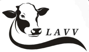 Logo La Voz de Vacarisses (LAVV)