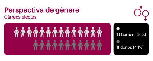 Pespectiva de gènere - Càrrecs electes