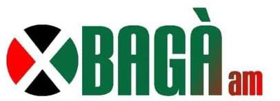 Logo X Bagà Acord Municipal