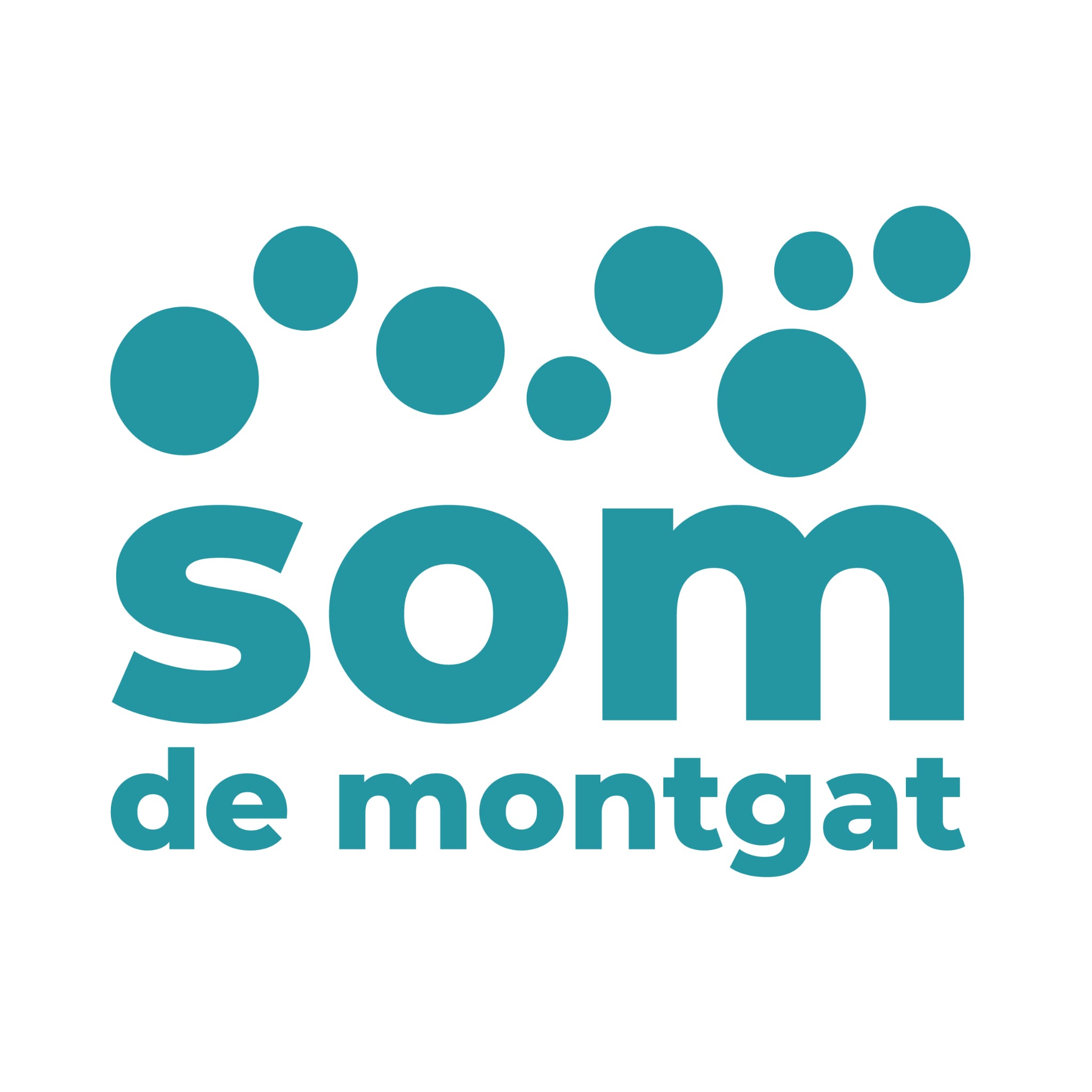 Logo SDM