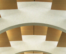 Organització política