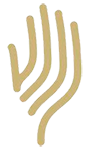 Logotip - Fundació Palafrugell Gent Gran