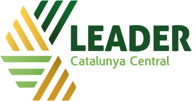 Logo - Consorci per al Desenvolupament de la Catalunya Central