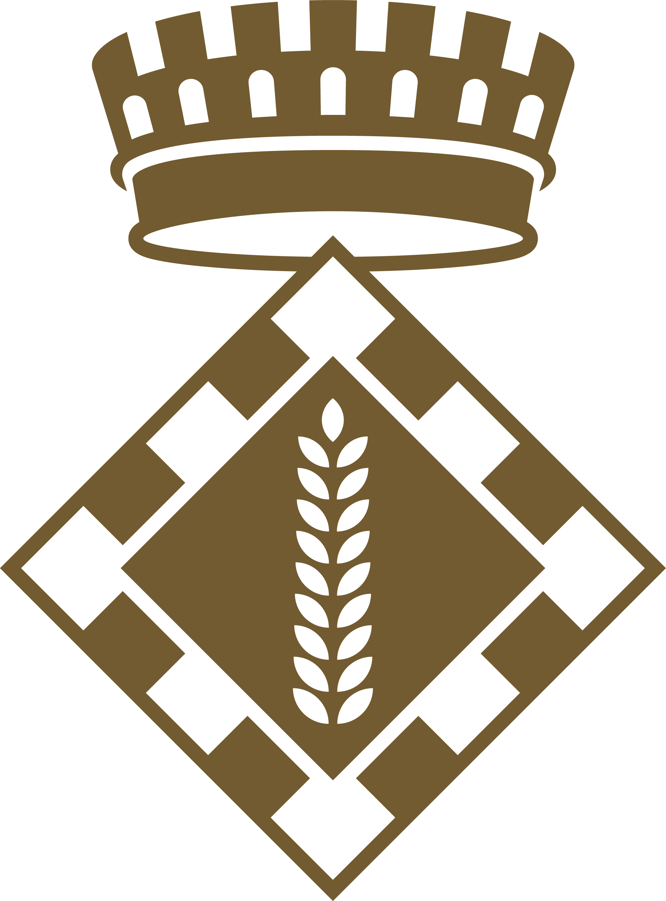 Logo - Consell Comarcal de la Segarra