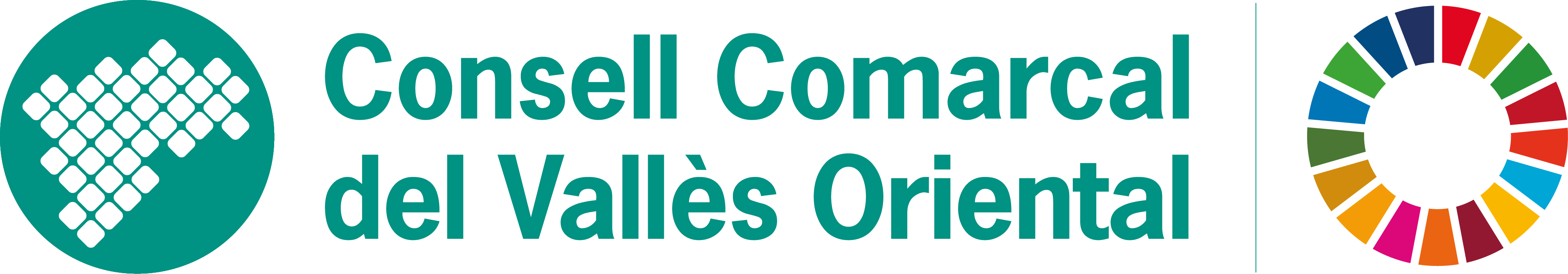 Logo - Consell Comarcal del Vallès Oriental