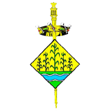 Logo - Ajuntament de Riudecanyes